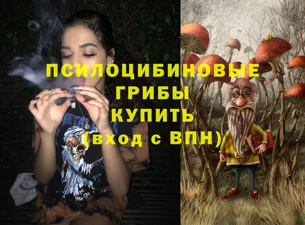 шишки Верхнеуральск